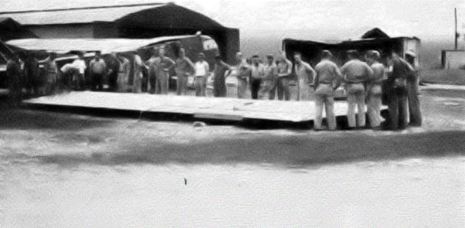 wing 2.gif