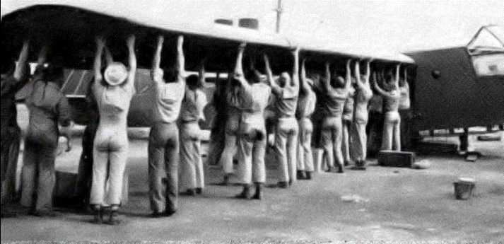 wing 3.gif