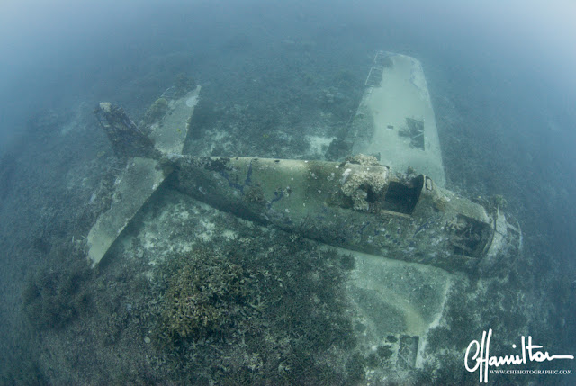 _CHP6415.jpg