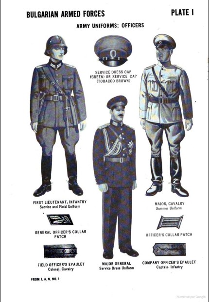 handbook 1.jpg