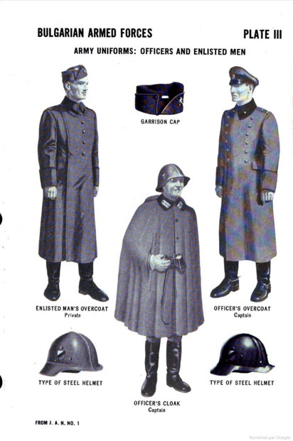 handbook 3.jpg