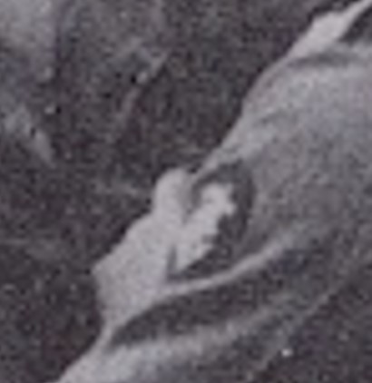 steurmann gross.jpg
