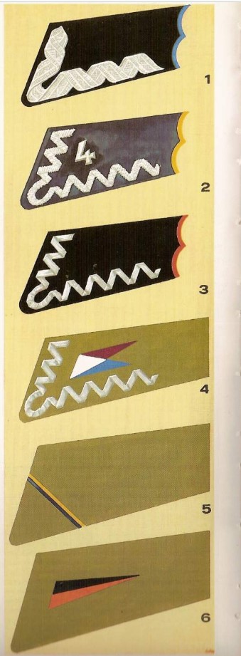 polish colours.jpg