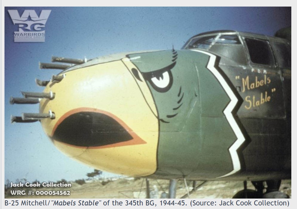 b 25 nose art.jpg