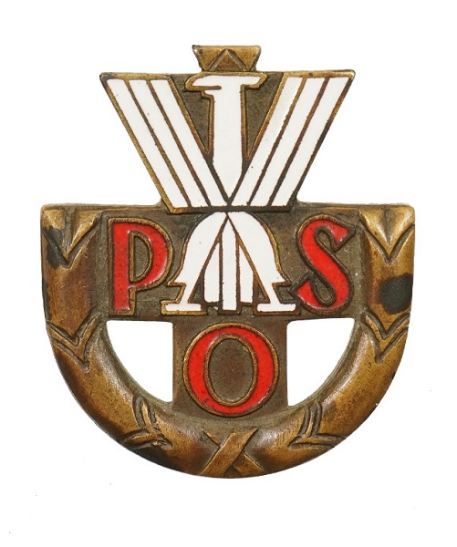 pol sport badge.jpg