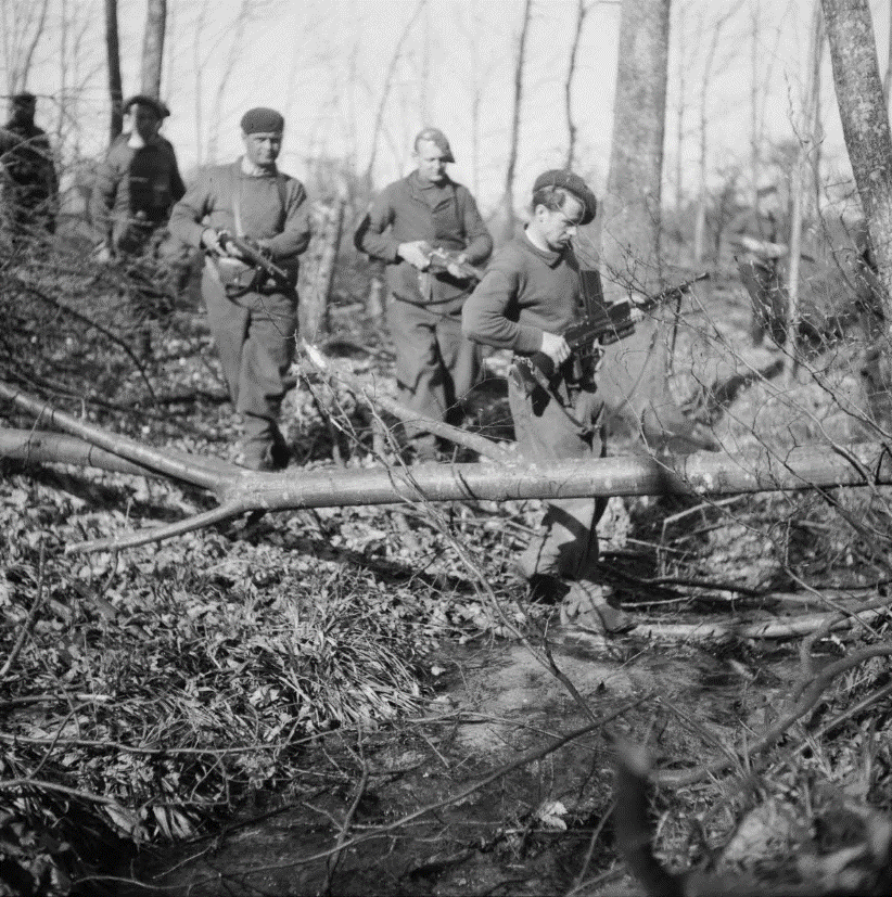 corps franc 5 e armée.gif