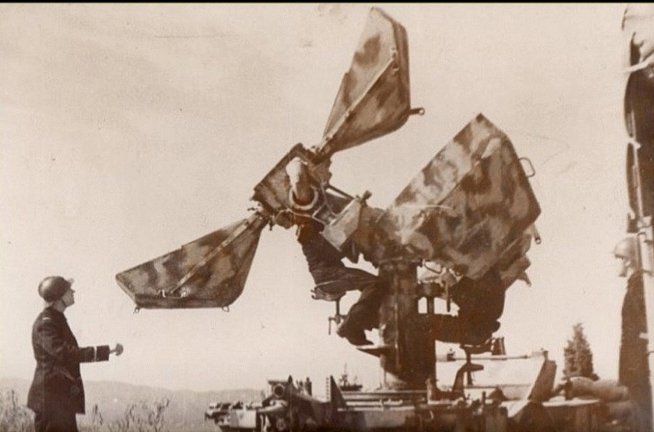 papillon .gif