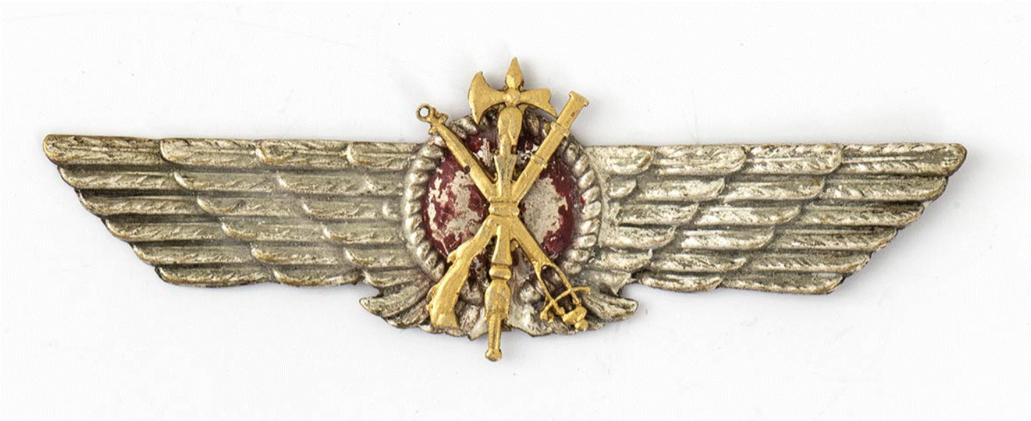 tercio pilote.gif