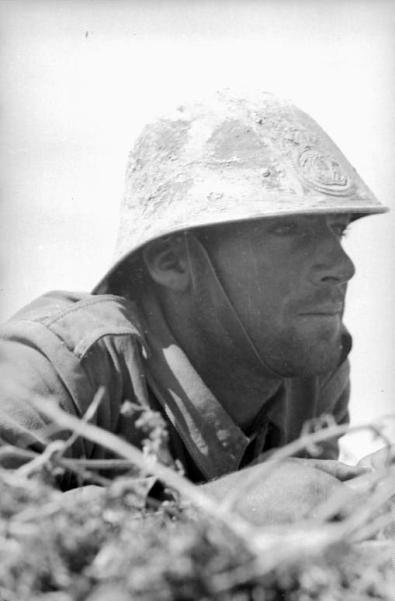 Bundesarchiv_Bild_101I-218-0501-11,_Russland-Süd,_rumänischer_Soldat.jpg