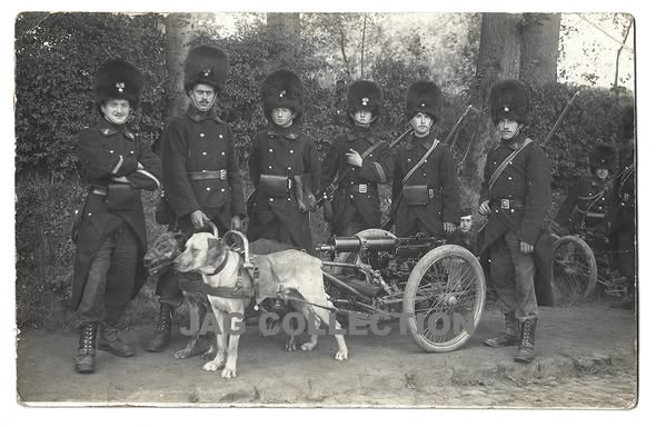 Grenadies belges.jpg