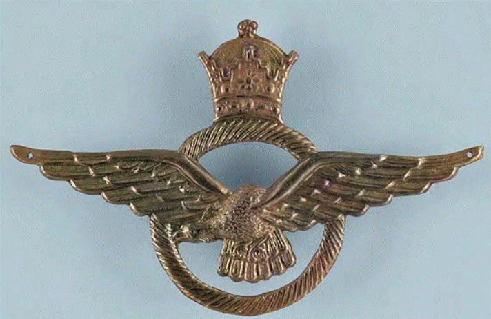 air force cap badge.gif