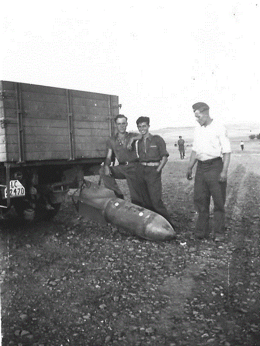 legion condor bombe 2.gif
