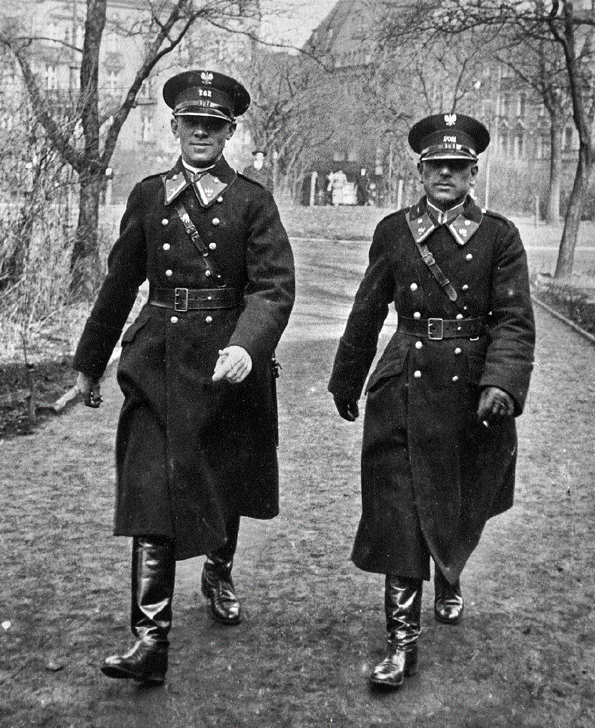 pol sil.gif