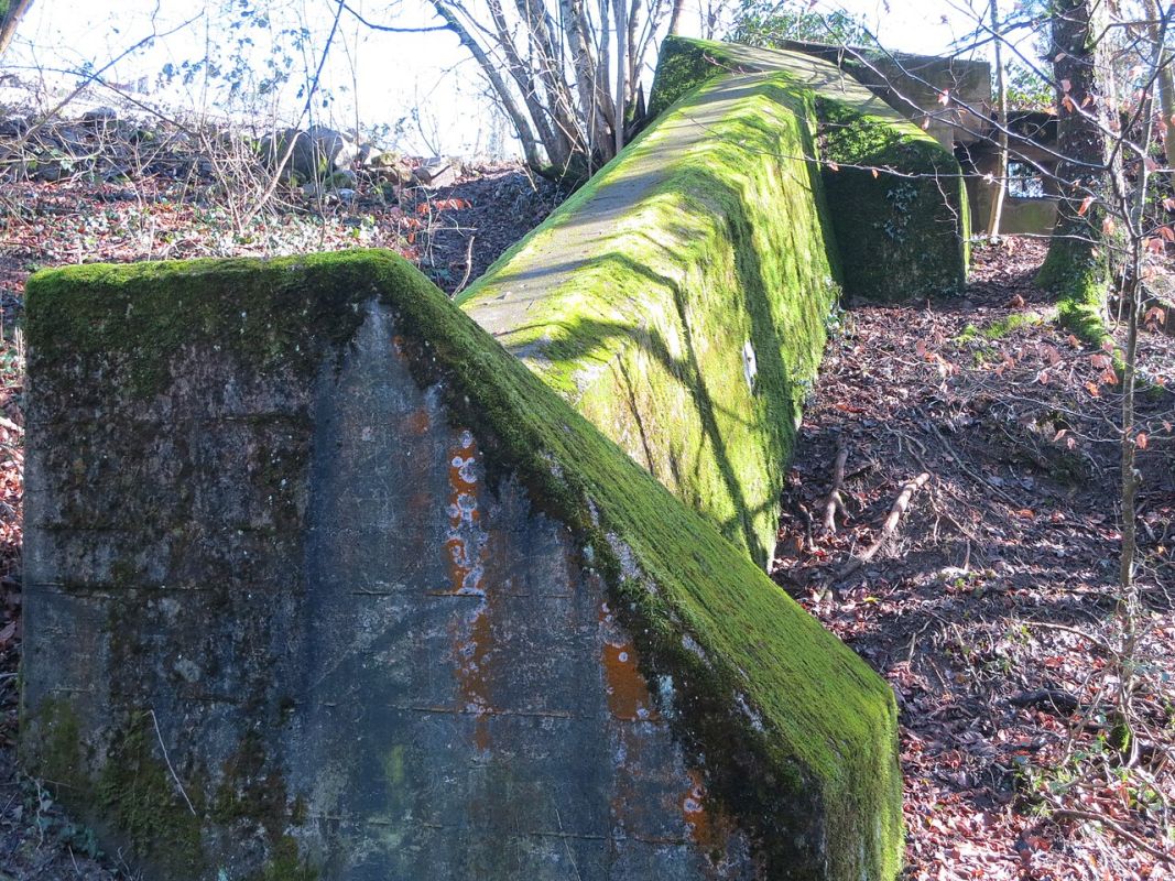 Begnins04.JPG