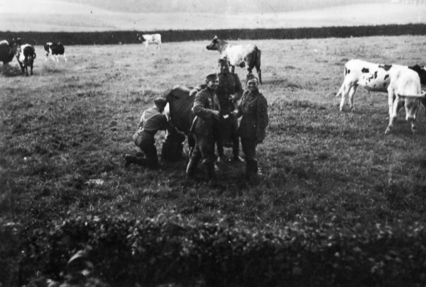 corvée lait.jpg