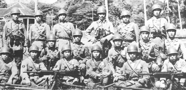 Paras-japonais.jpg