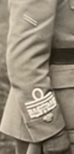 genitdetail.png