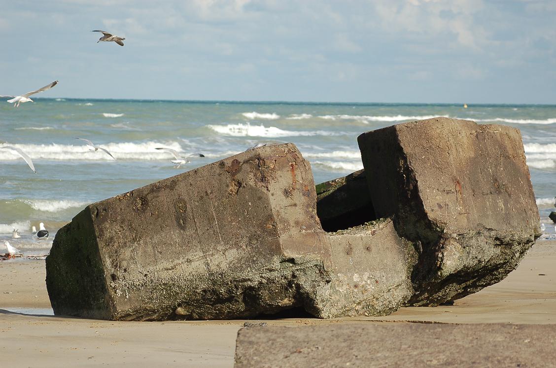 DSC_0805.JPG