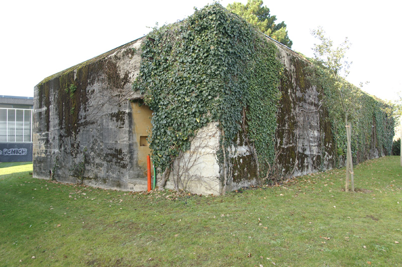 Redon1-06.JPG